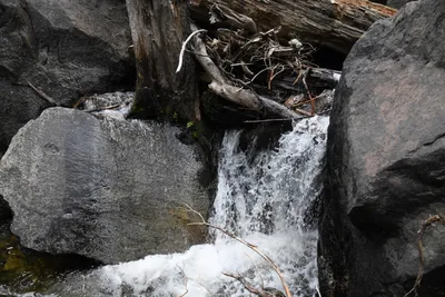 DSC_4620 (Large).JPG